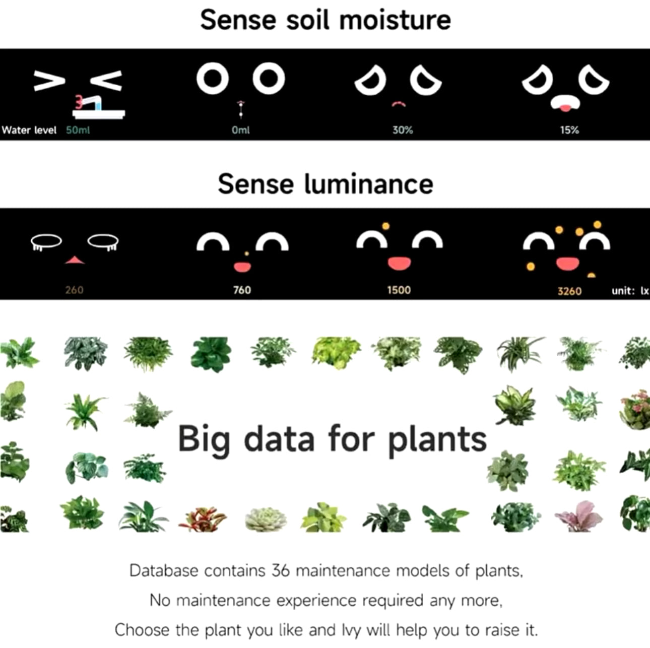 Smart Planter