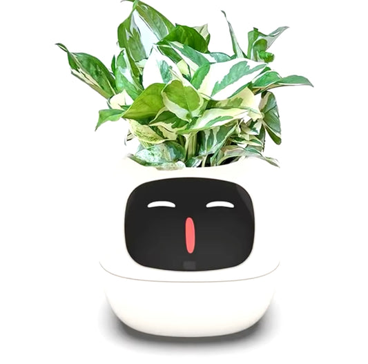 Smart Planter